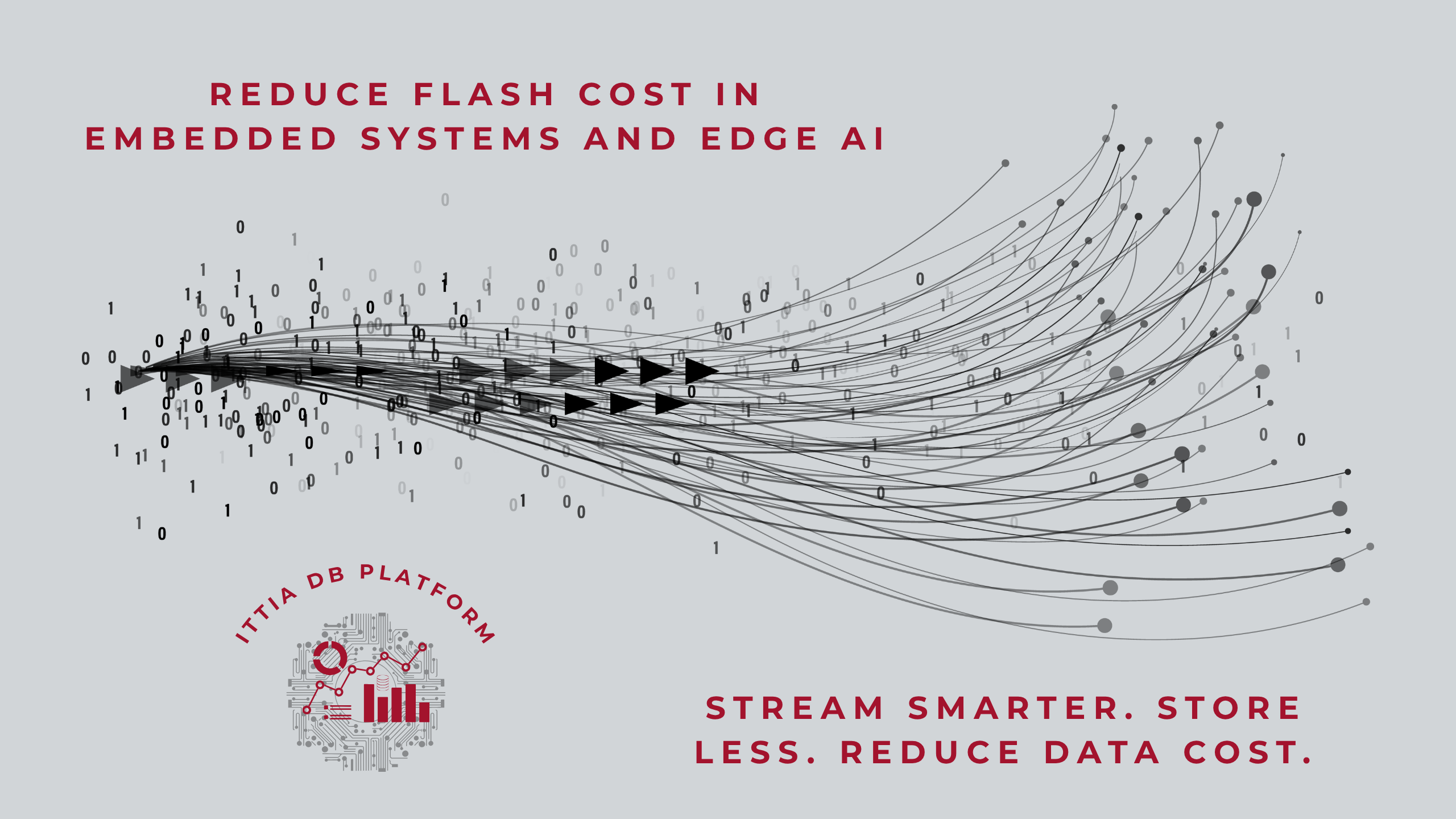 reduce_flash_cost_in_embedded_systems_and_edge_ai.png 